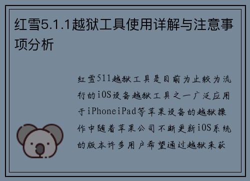 红雪5.1.1越狱工具使用详解与注意事项分析